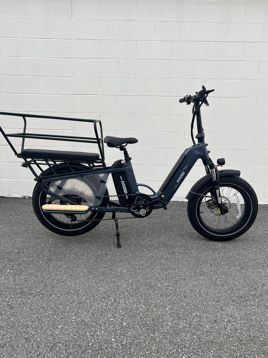 HAOQI Camel Electric Cargo Bike - Latest SUV Ebike